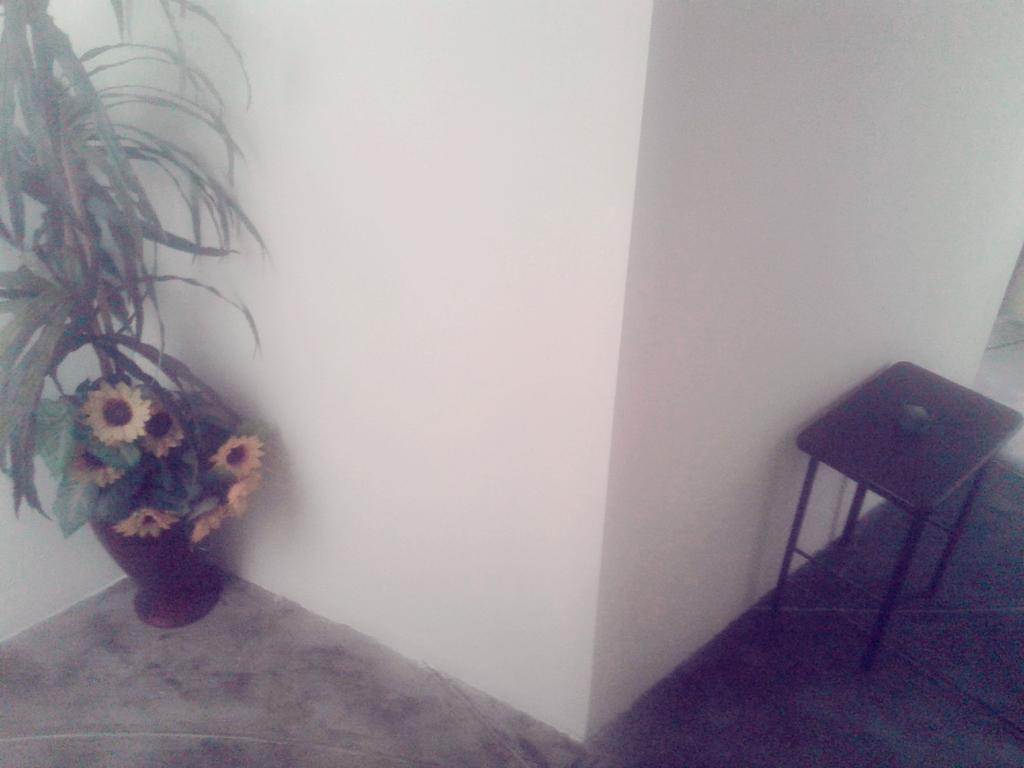La Casa Del Che Fernando Apartment ลิมา ภายนอก รูปภาพ